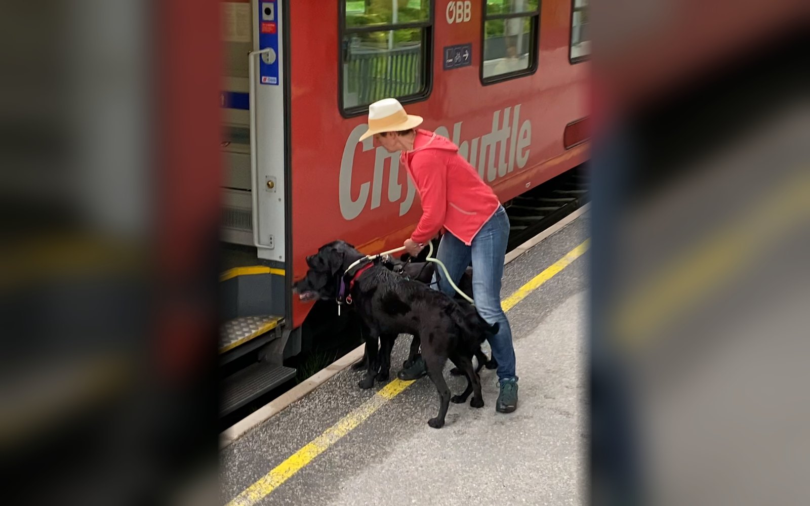 Een vaste begeleider stapt met een kleine groep honden in een internationale trein