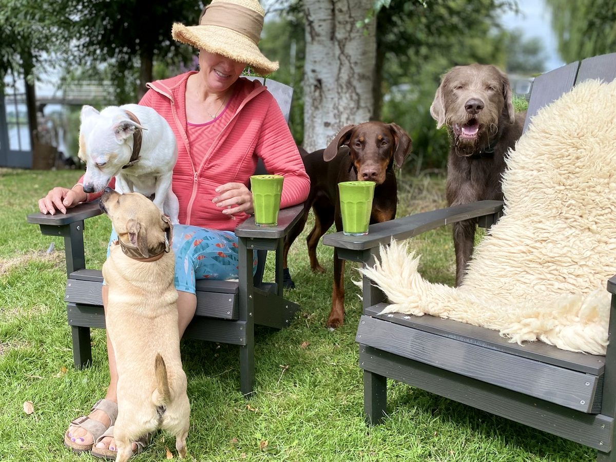 De vaste verzorger zit buiten tussen vier honden die ontspannen contact met haar zoeken