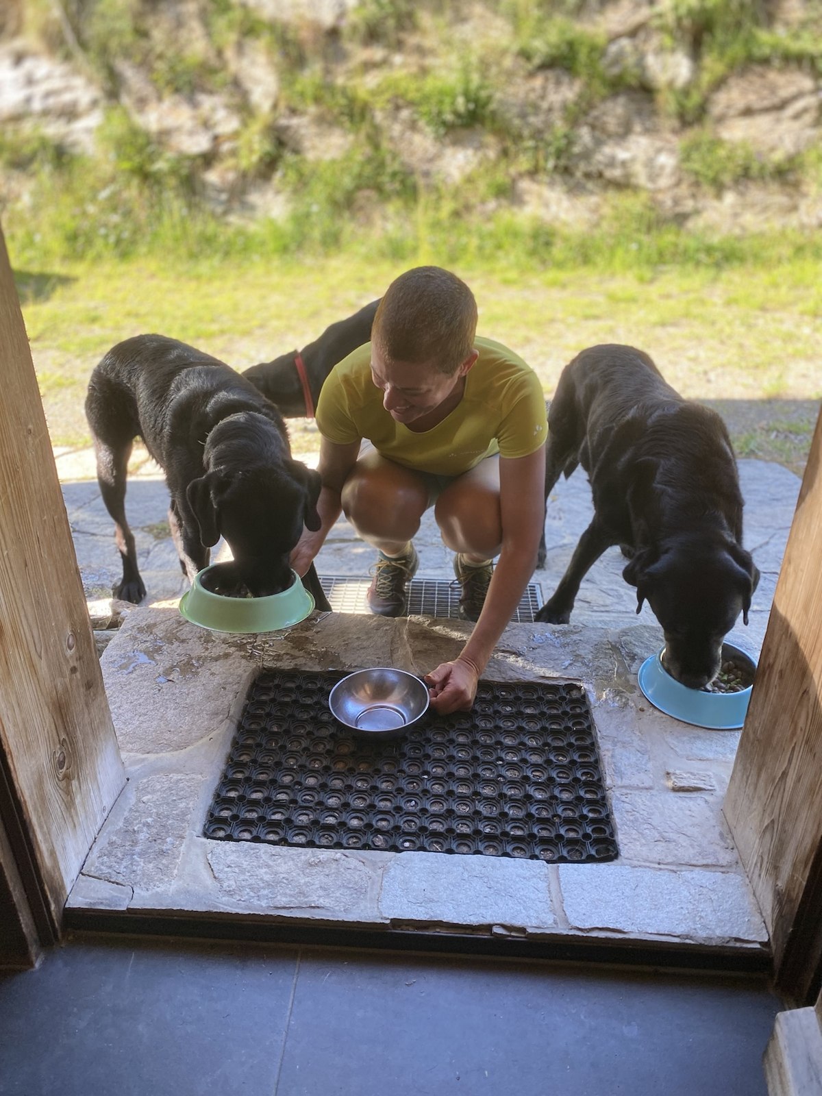 Vaste verzorger geeft honden ieder hun eigen voerbak bij de deur
